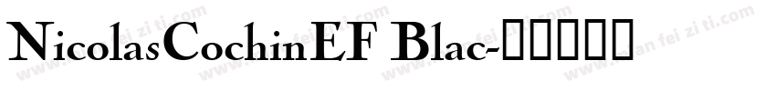 NicolasCochinEF Blac字体转换